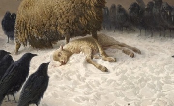 The lamb lies still beneath her on the frozen ground.
