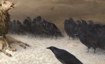 A flock of crows waits around the ewe and lamb.