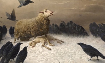 Mother, lamb, and crows hold grief and appetite in one frame.