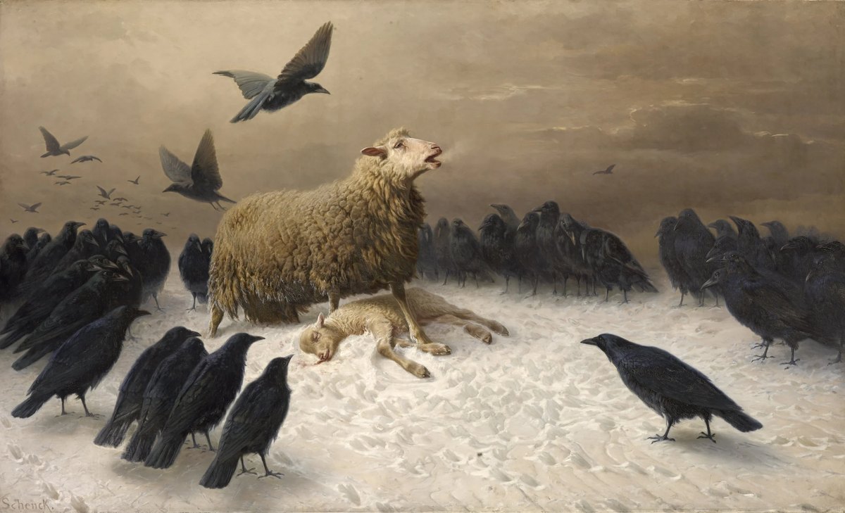 Anguish by August Friedrich Schenck: a sheep raises her head over a lamb lying in the snow, surrounded by a ring of black birds beneath a grey sky.