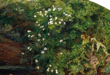 Wild roses bloom above her floating body.